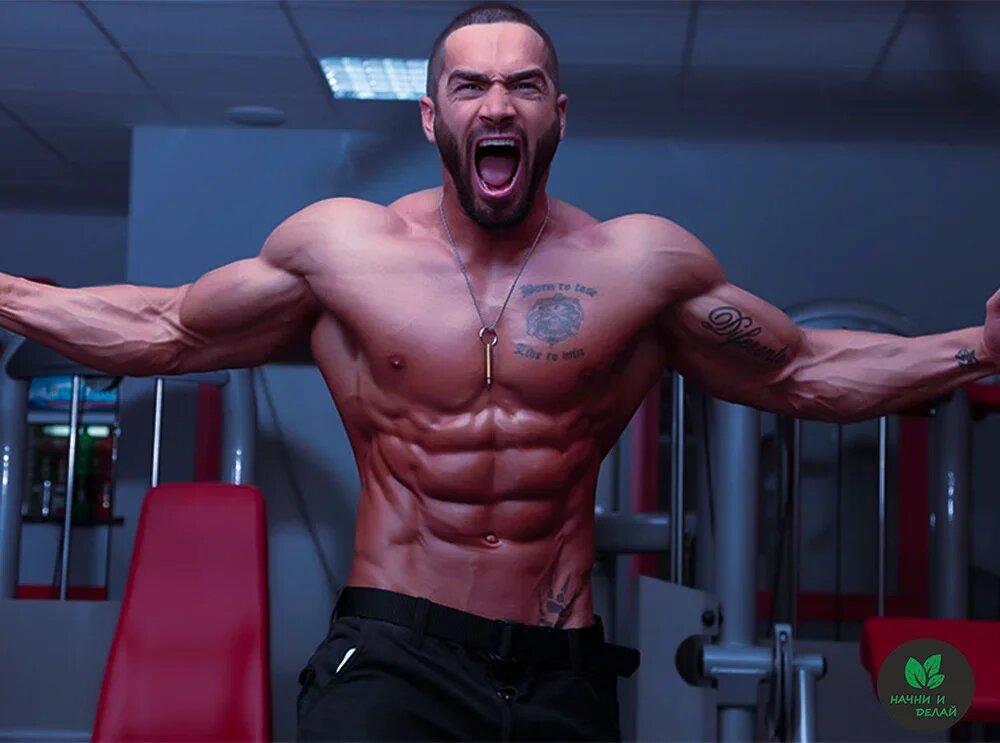 Фото взято из открытого источника