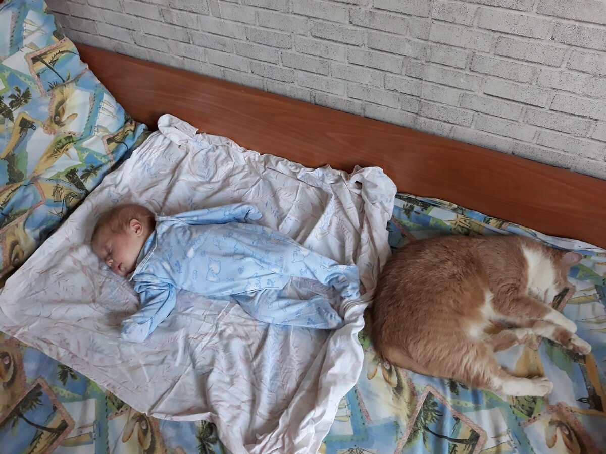 Первые дни ребенка дома. Кошка тут больше дочки!