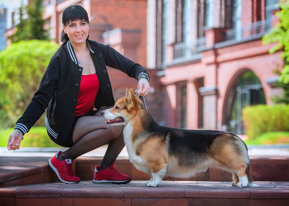 Юлия Киреенок, хэндлер