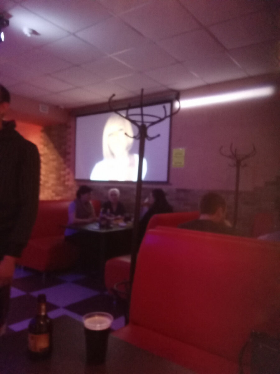 Как мы в караоке ходили. 