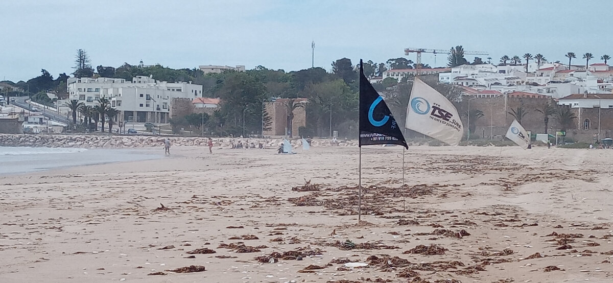 Фото автора. Флаги школ по сёрфу.