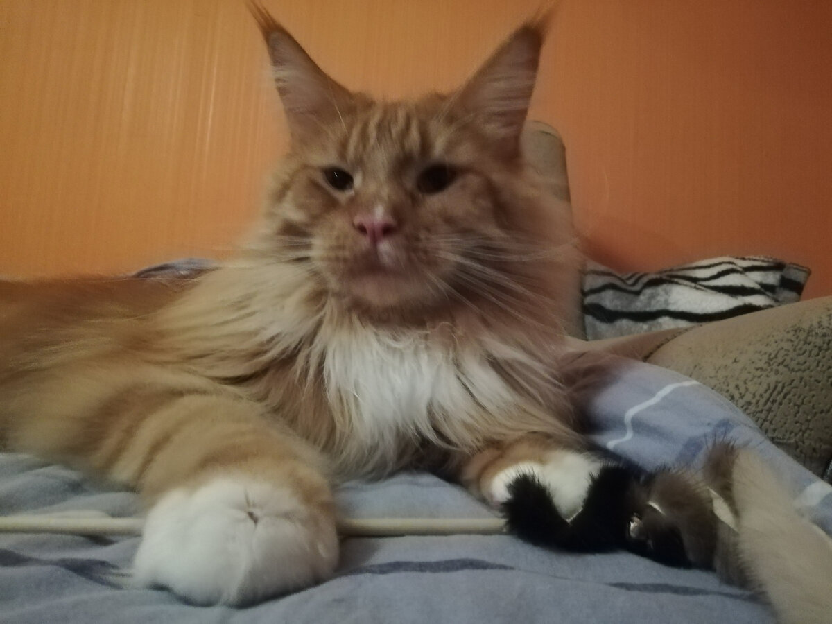 Прошу простить за смазанное фото, но здесь он суров как нигде