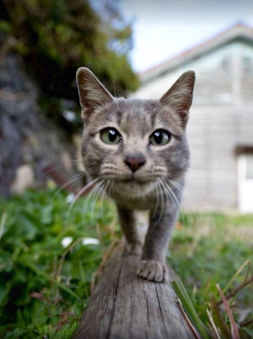 фото использовано в качестве иллюстрации. Источник "Яндекс.Картинки"