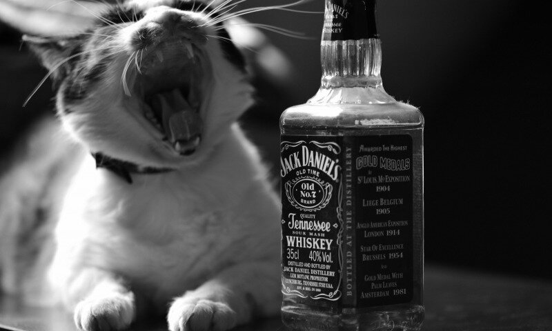 фото из свободного источника