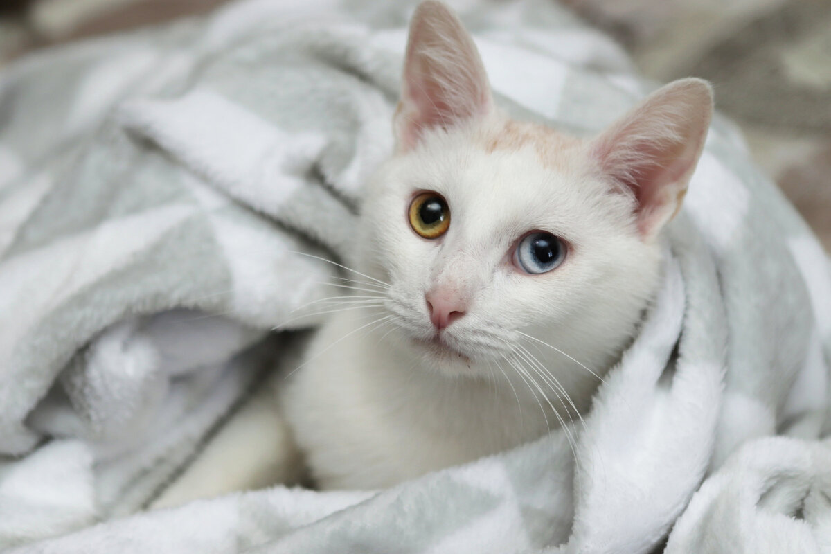 Умереть и не встать от этой красоты!