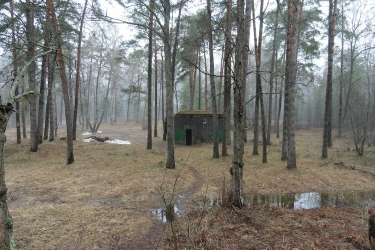 Медвежья берлога или Беренхёле (нем. Bärenhöhle), полное название Штаб-квартира фюрера «Медвежья берлога» (нем. Führerhauptquartier Bärenhöhle) — немецкий бункер, построенный организацией Тодта под Смоленском во время Второй мировой войны. Строительство велось с октября 1941 по август 1942 года: планировалось, что бункер будет использоваться как полевая квартира Гитлера и его рабочий штаб. Он должен был состоять из 42 специальных помещения и жилых блоков - Википедия