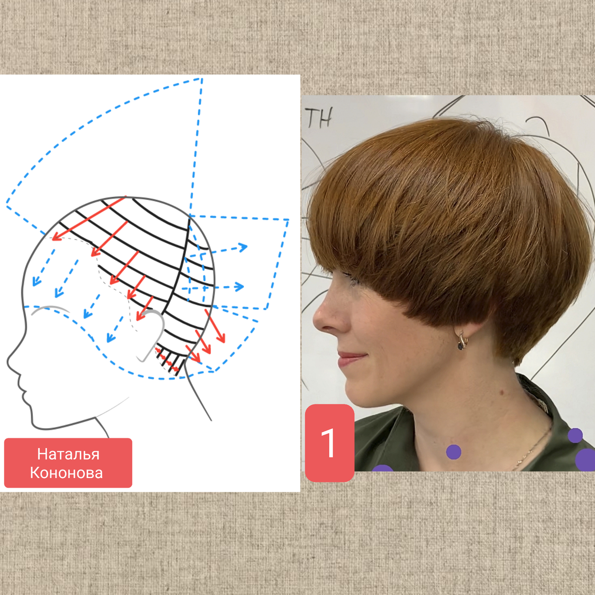 Схема автора, модель стрижки из интернета.