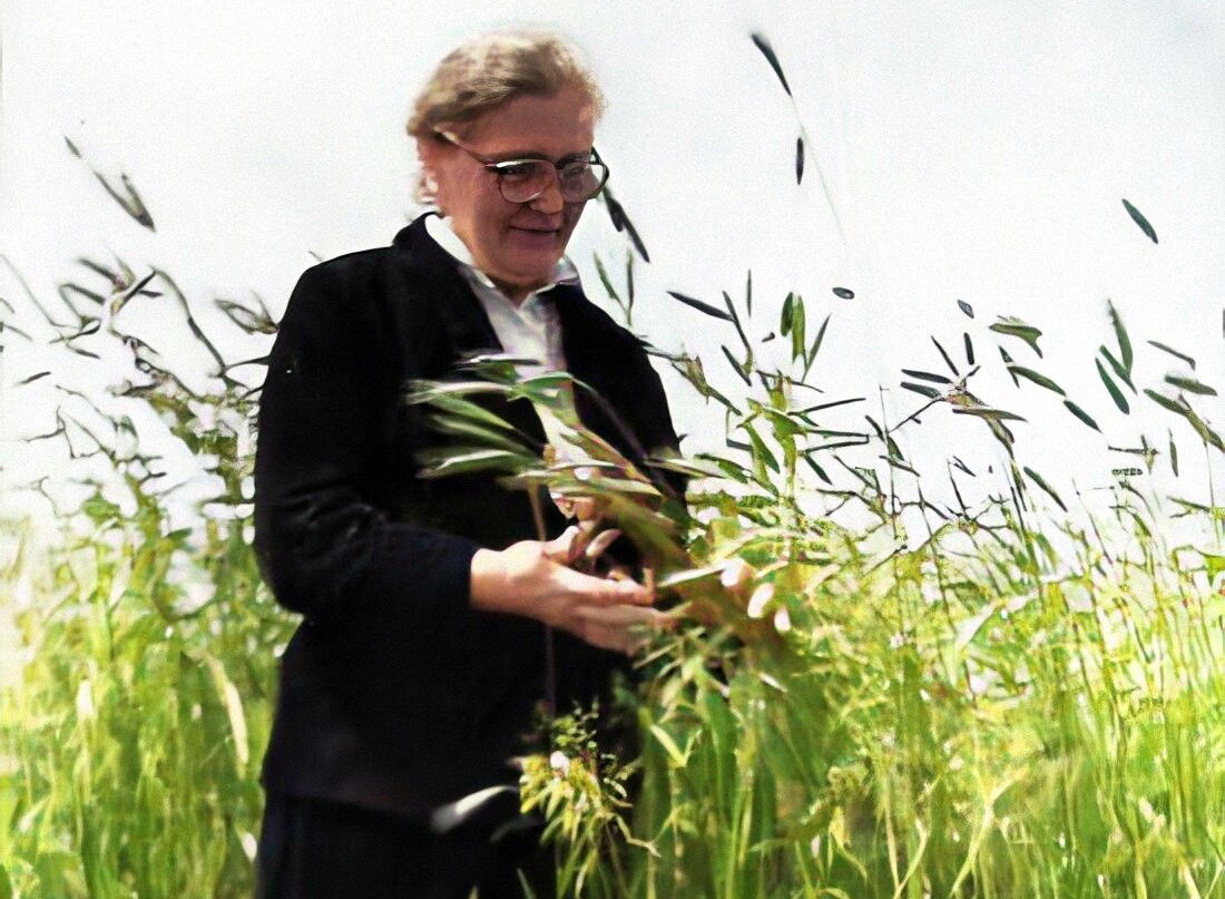 Ирма Мартенс. Фото из архива Ивана Ильичева-Волкановского