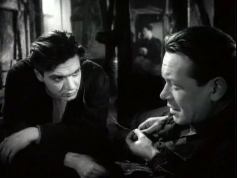 Фото из  интернета.