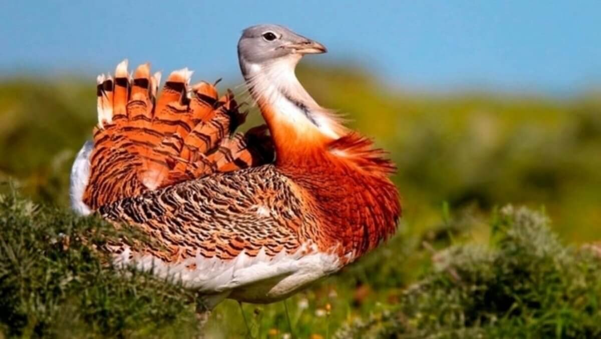 Иллюстративное фото: russianemirates.com