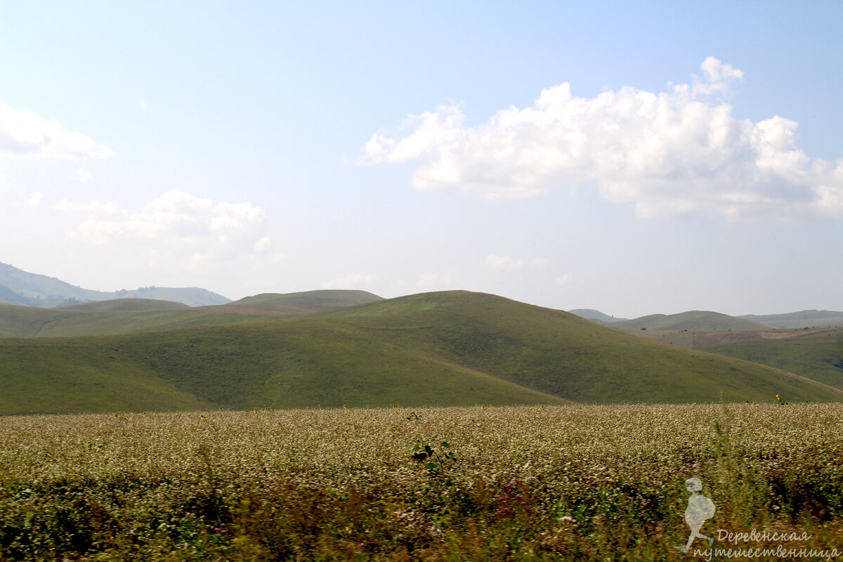 Степь сменяется холмами. Фото автора.