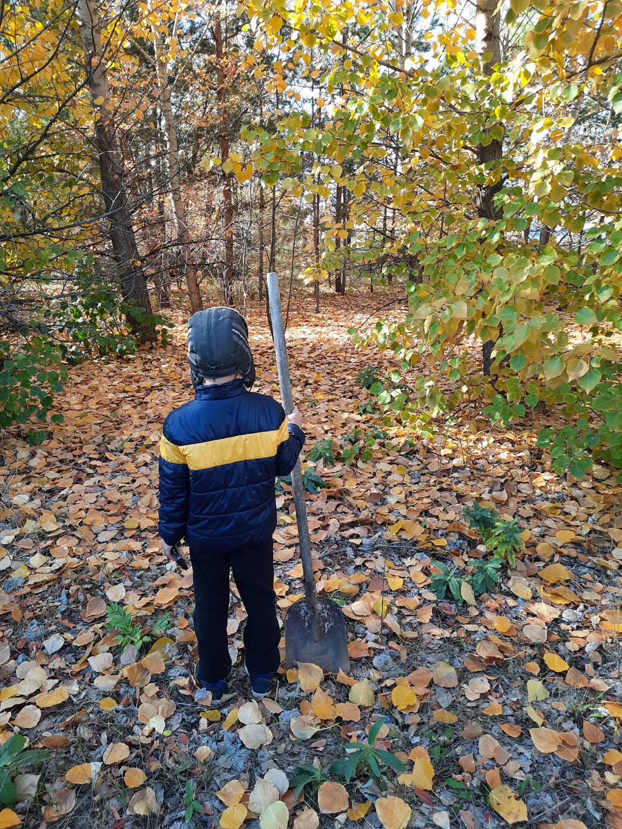 Мы с Семёном ходили в лесок и закопали капсулу  времени 🙂