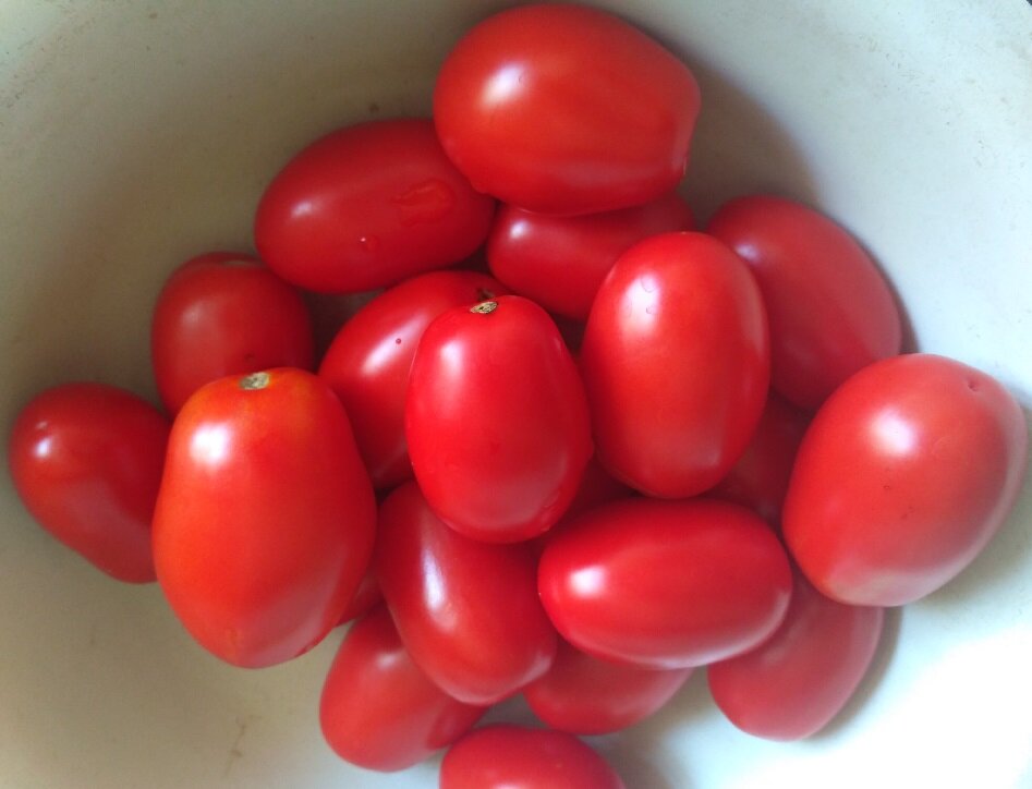 Фото автора статьи