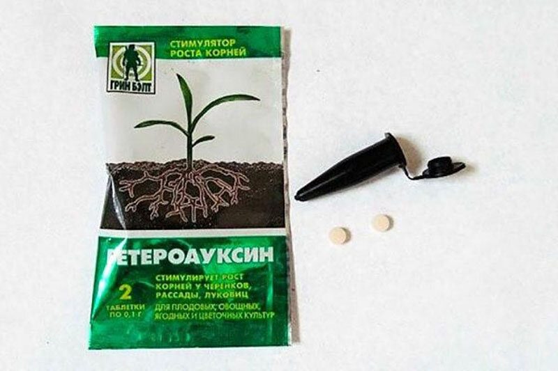 Препарат Гетероауксин