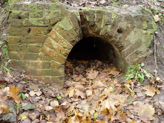 природа томской области фото. таловские чаши в томске. место под томском. тугояковский травертиновый каскад. место под томском.