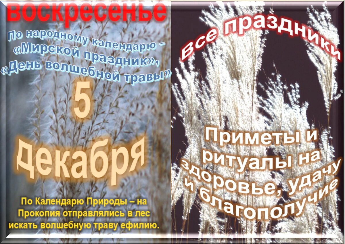Встречаем новый день