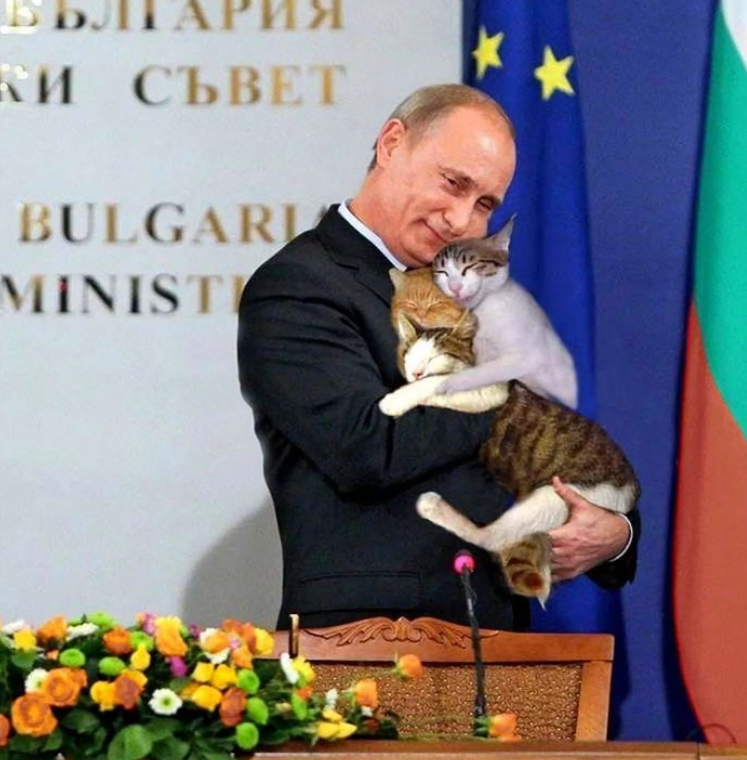 Любимый кот Путина