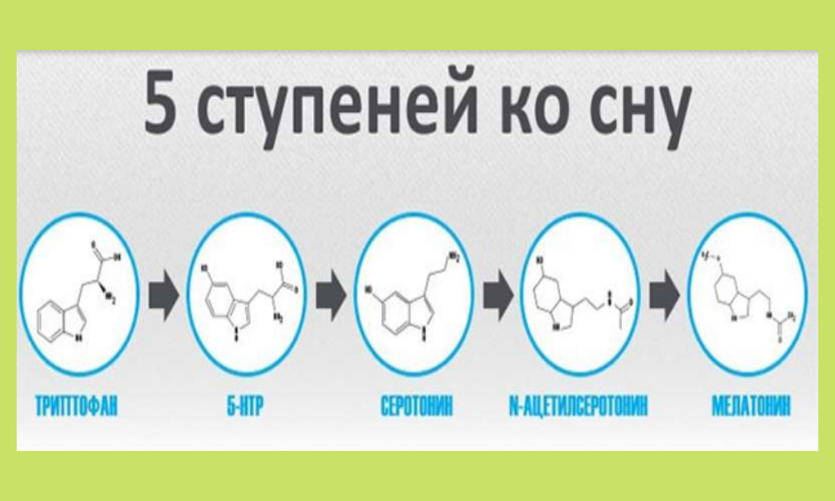 Мы худеем во сне, равно как и набираем лишний вес тоже. Марафон 