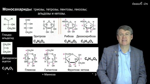 Дубынин В.А. - 100 часов школьной биологии - 2.2. Углеводы: от глюкозы к моносахаридам