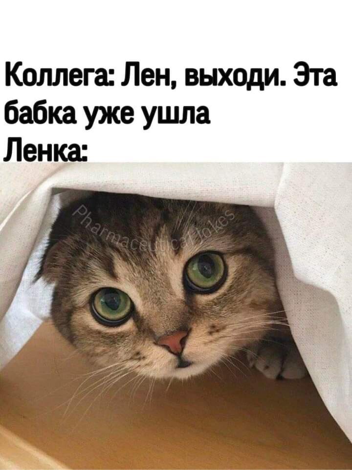 Я пошла учиться на литературные курсы Челябинского государственного института культуры. Для разнообразия и собственного развития. Вся такая в розовых соплях и наивных надеждах на личностный творческий рост. 
Сопли остались, надежды разбились.

Дело в том, что информацию, которую там преподают я уже знаю, и классическая литературная школа мне не интересна. Да, я могу долго имитировать интерес и желание учиться, но в конце из-за любого пустяка сорвусь и, цокнув каблуками, уйду в закат. Или рассвет. Кому как больше нравится.
Всё-таки классика - это хорошо, но безвольно следовать заветам Пушкина - это как-то пресно. Вот честно.
Получается, что руки связаны, и ты бряцаешь при каждом шаге цепями. Да ещё и плетёшься в хвосте, потому как идти против правил - это нехорошо, а чтобы создать что-то новое, надо двинуть вожака. А вожак скучен лично тебе и двигать его неинтересно.

Да и нужно ли его двигать? Вот в чём вопрос.

Печататься я не планирую, всякие премии и другие увеселительные мероприятия-конкурсы не для меня. Что остаётся делать?
