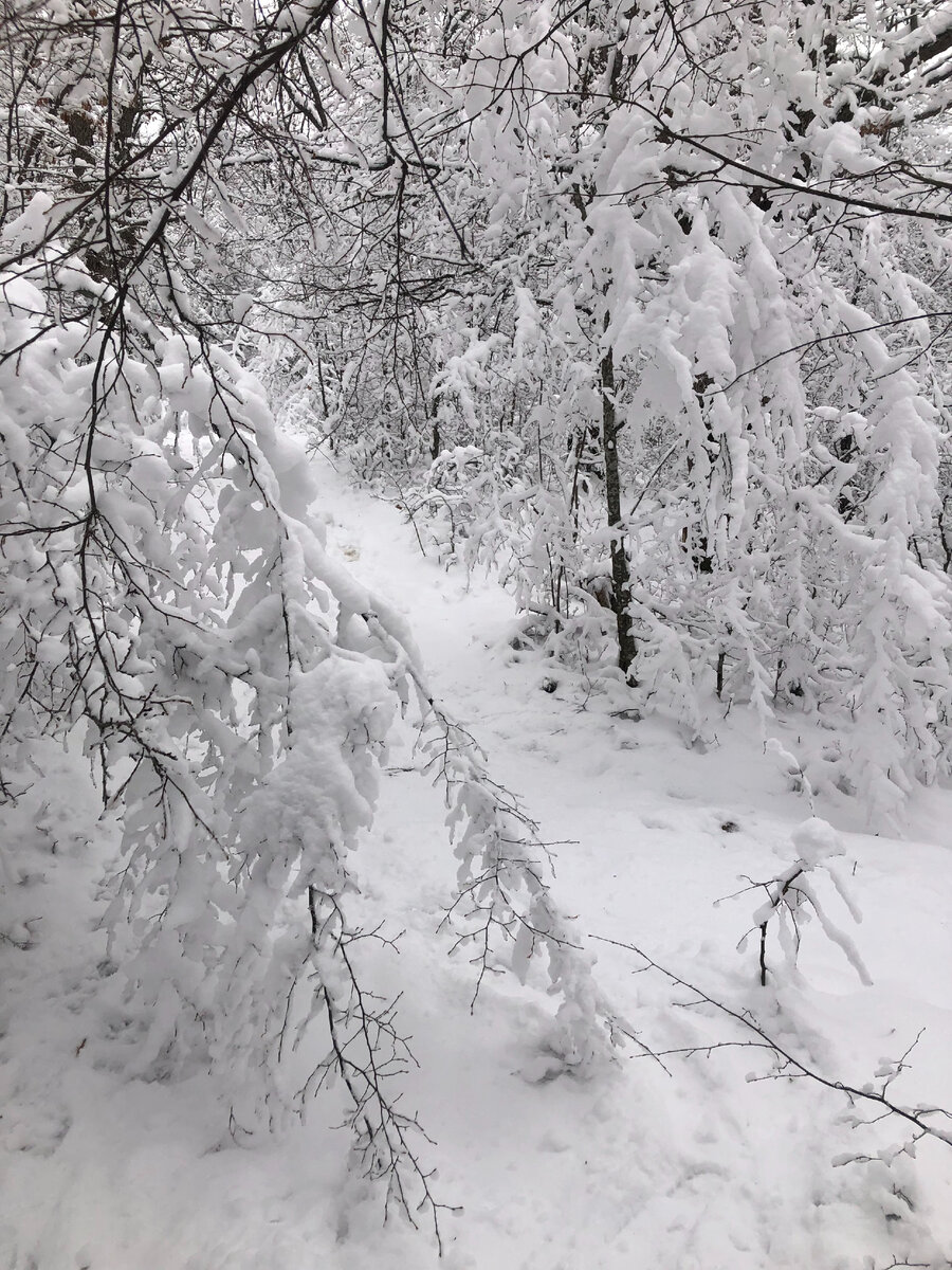 Январь, 2022, Бахчисарай