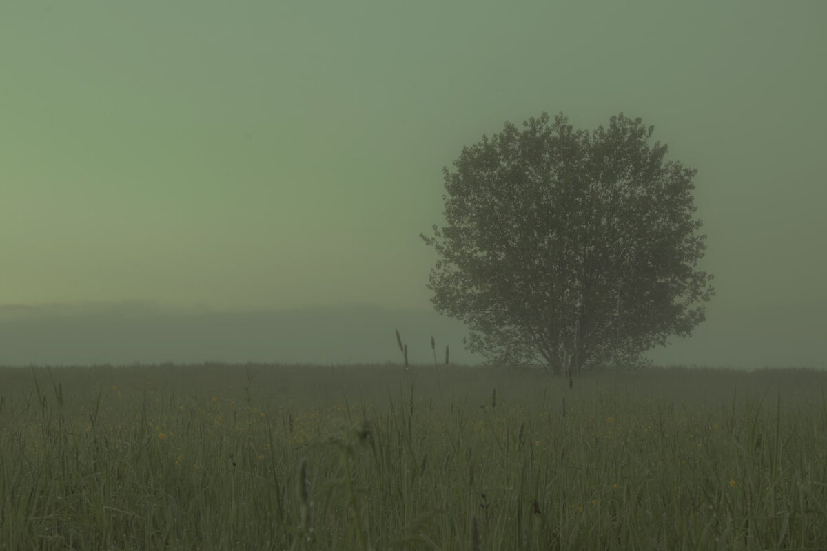 Туманность