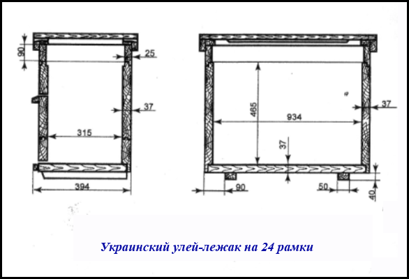 Какой улей лучше для пасеки