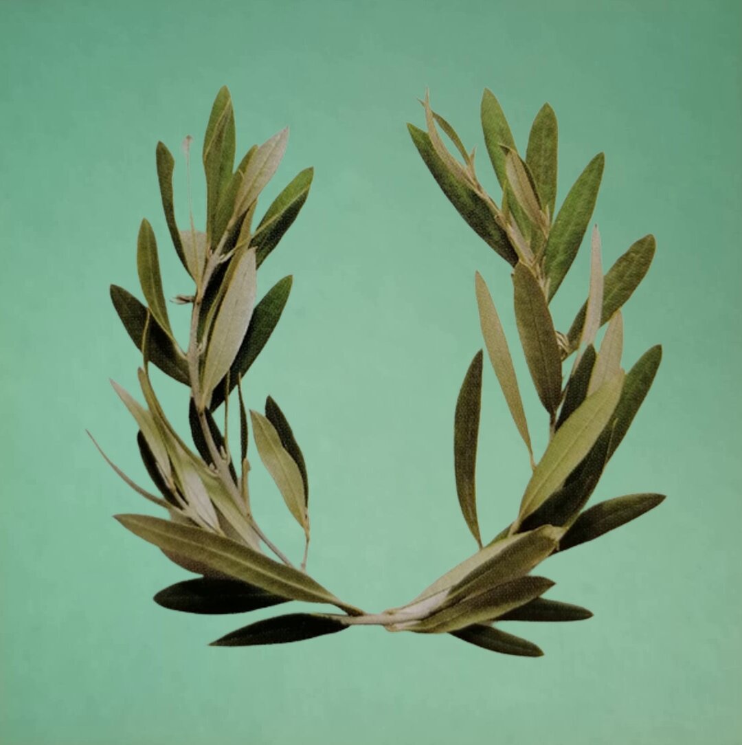 Такой венок одевали на голову победителя Олимпийских игр. Фото с сайта stock.adobe.com