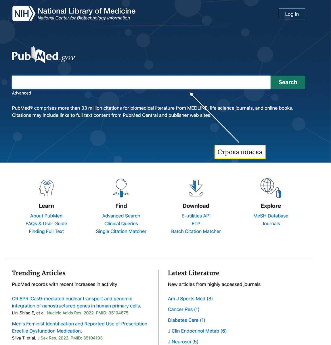 Работа с PubMed и поиск медицинских научных статей | Ресурсный центр  поддержки молодых ученых в медицине | Дзен