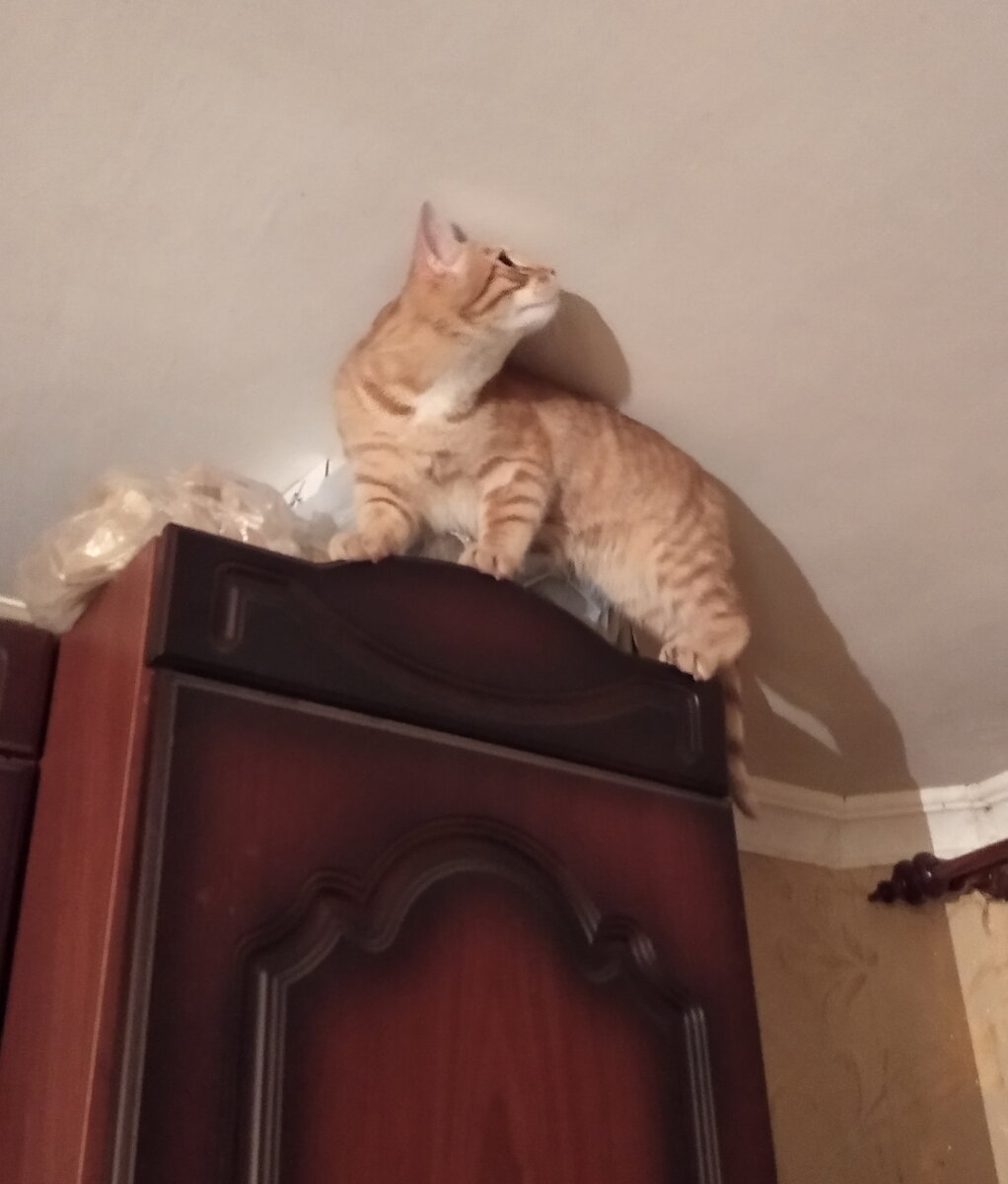 Личное фото.