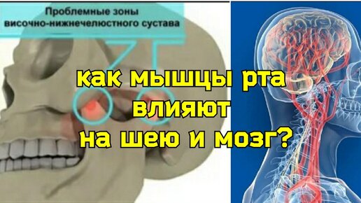 Укрепляя круговую мышцу рта, укрепляем шею и улучшаем питание мозга. 3 полезных упражнения