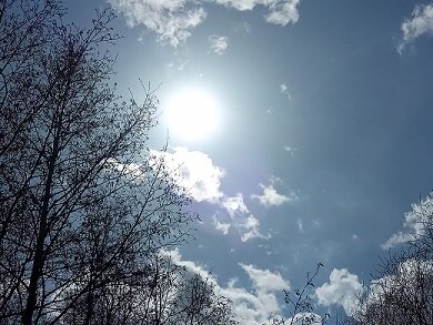 Фотография из личного архива автора