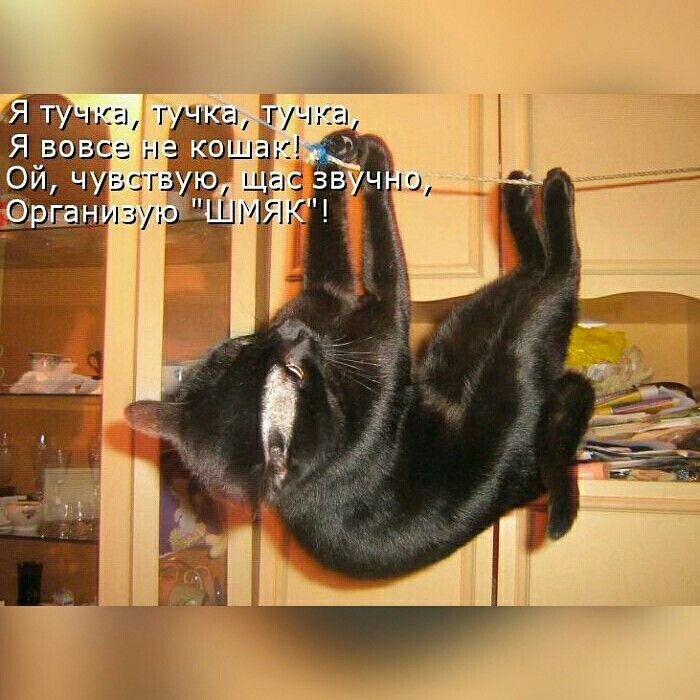 Вот видите можно и вот такую фотку сделать.