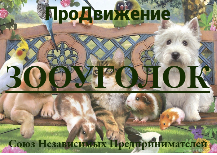 Союз Независимых Предпринимателей "ПроДвижение"