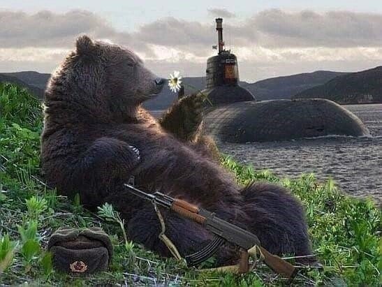 Он охраняет рубежи , а мы лишь суждены ему дары нести и мы несём .