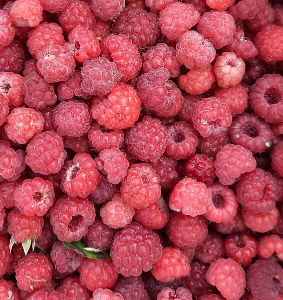 У нас малина, а у них Марина