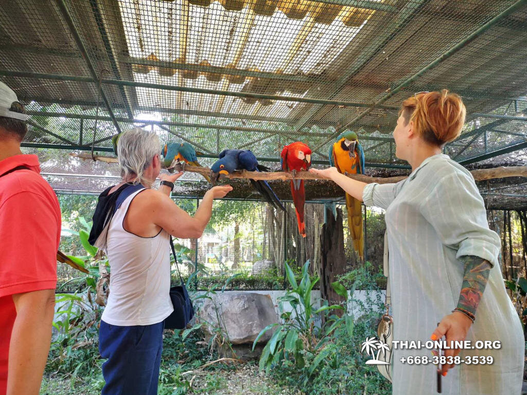 14 августа 2022 едем на однодневную экскурсию "Тайна Сиама" из Паттайи, поездка включает парк птиц "Суан Нок"
