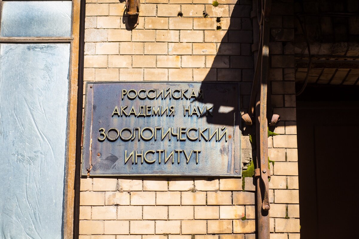 Фото: Надежда Панова