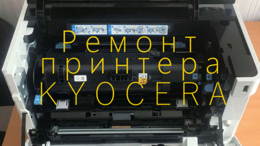 Инструкция, как сбросить уровень чернил Epson L210, L110, L355, L800 и других