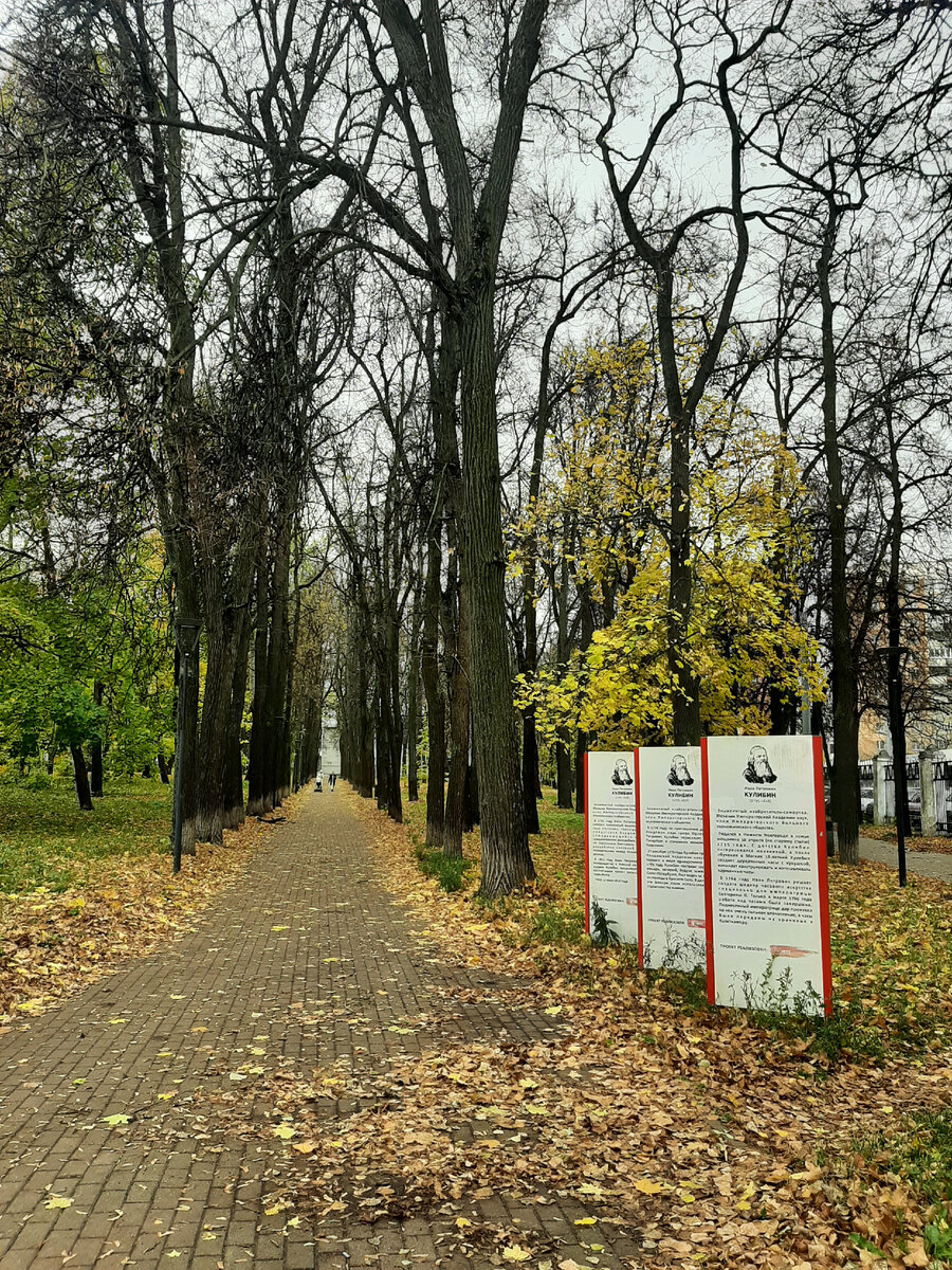 Сквер на улице Коминтерна Нижний Новгород