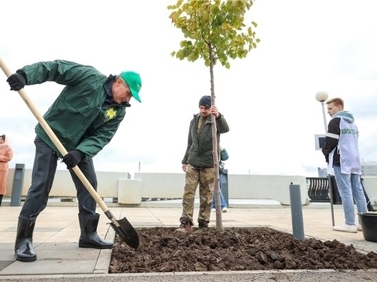     Фото: портал органов власти РЧ