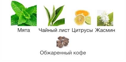 Изображение взято с сайта https://www.fragrantica.ru 