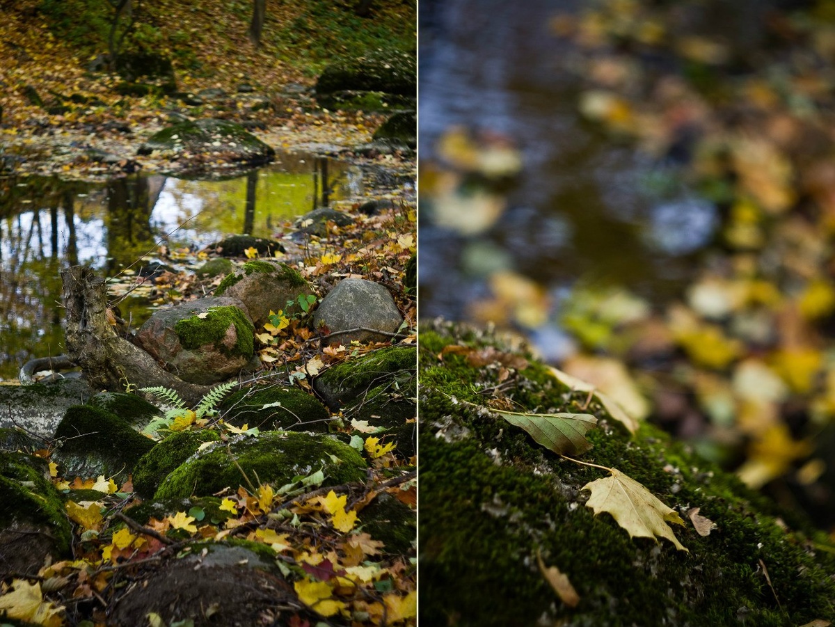 Спокойные ручьи между холмами — типичная картина в бесконечном парке Павловска