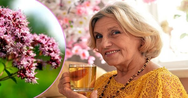 Фото: maminy-shpargalki.com