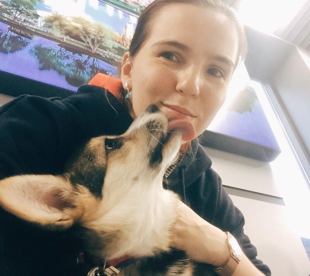 Элли ждёт посадку