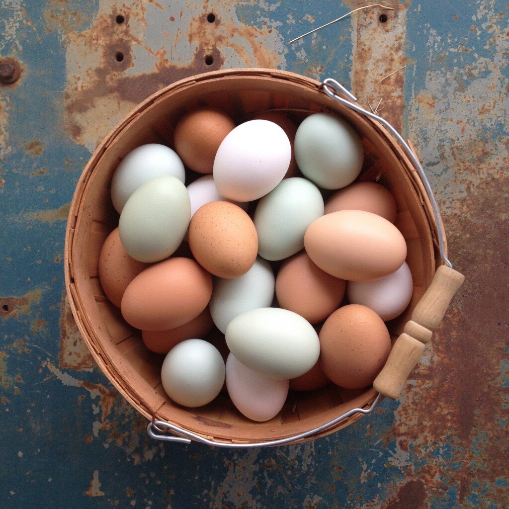 Окрашивание яиц. Разноцветные яйца натуральные. Натуральное яйцо. Красим яйца натуральными. Нежно яички
