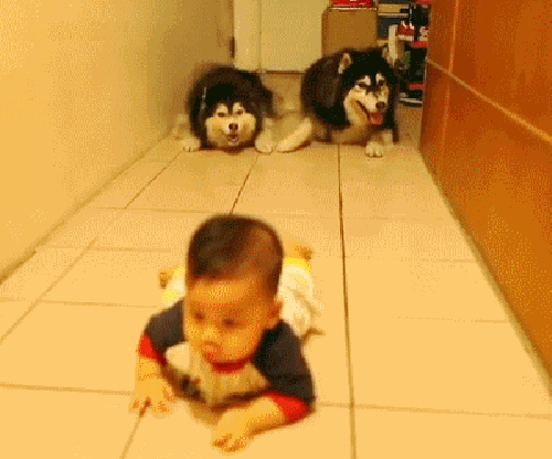 Десант! За мной!