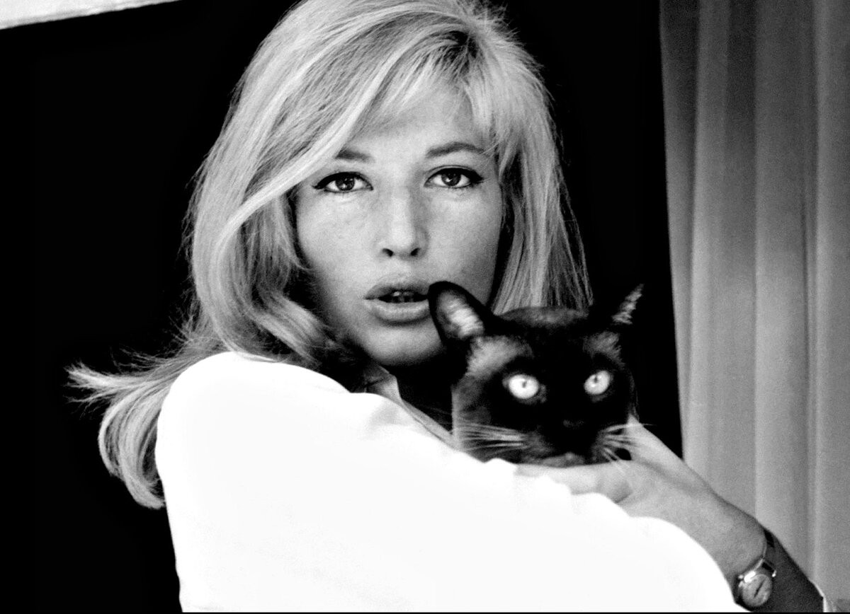 Икона стиля: итальянская актриса Моника Витти | LADY FOR LADY | Дзен