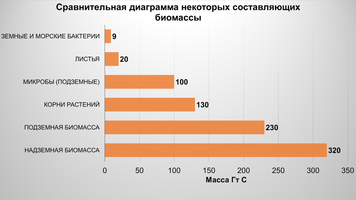 Биомасса Земли, инфографика | Археология, история, генетика | Дзен
