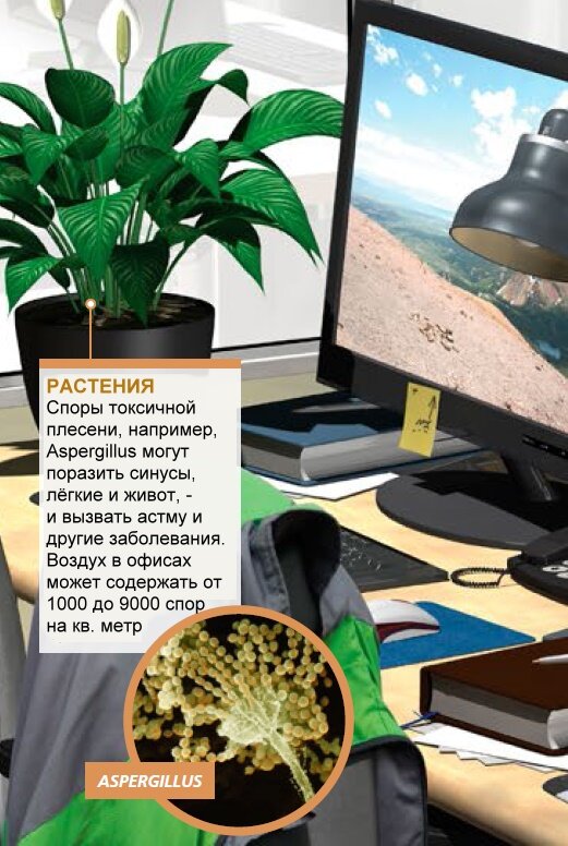 Вы думаете, что поверхность Вашего письменного стола выглядит опрятной? Административные здания, которые убирают каждый день, кажутся неподходящей средой обитания для болезнетворных микроорганизмов. Но даже если на первый взгляд Ваше рабочее пространство кажется опрятным, целый зверинец микроорганизмов бродит по просторам Вашего стола. Они копаются в мусоре пиков и долин Вашей клавиатуры, пересекают равнины на Вашей мышке и в изобилии размножаются в Вашей кофейной чашке - микробы повсюду.